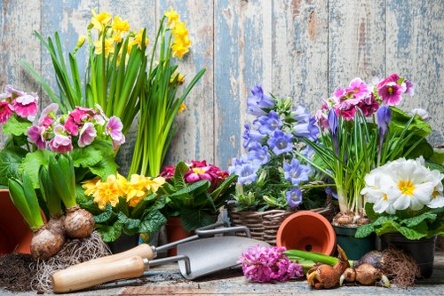 A collection of potted spring flowers, including yellow daffodils, pink primulas, purple hyacinths, and white primroses, arranged on a rustic wooden surface against a weathered blue wooden background. Some flower bulbs and gardening tools, such as a small trowel and a watering can, are placed among the plants, illustrating typical gardening supplies for outdoor planting and garden maintenance. The vibrant flower colors and fresh green foliage contrast with the aged wooden backdrop, creating a lively and welcoming scene that highlights garden planting activities common in residential outdoor spaces across Gipsy Hill and surrounding areas. This depiction emphasizes the importance of seasonal flower planting and garden updates, fitting well with gardening services offered by Lawn Mowing Gipsy Hill in the local community.